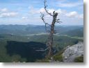 Tiefblick vom Plattenstein